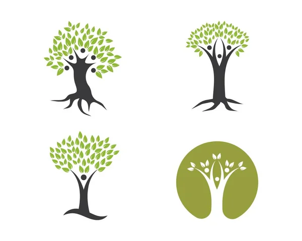 Árbol genealógico logotipo plantilla vector ilustración — Vector de stock