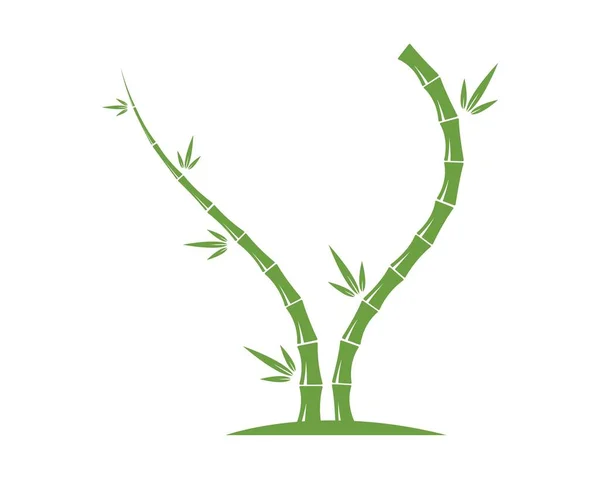 Bambu med grönt blad för din logotyp ikon vektor — Stock vektor