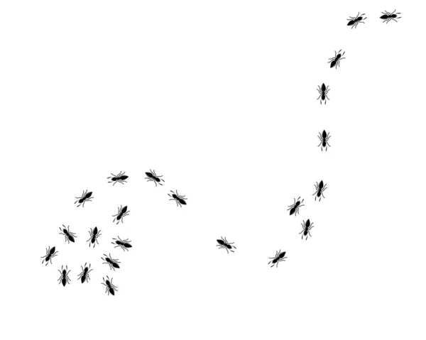 Дизайн іконок мурашок Векторні ілюстрації — стоковий вектор