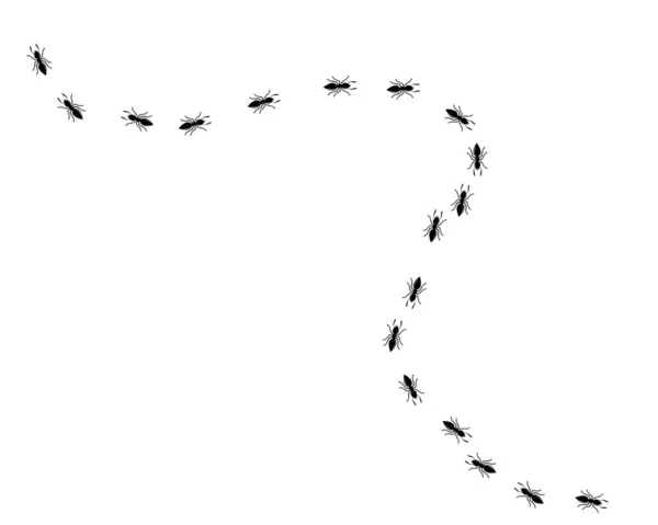 Дизайн векторной иллюстрации муравьев — стоковый вектор