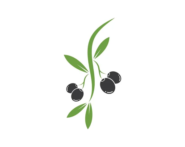 Olive logo pictogram vector illustratie — Stockvector