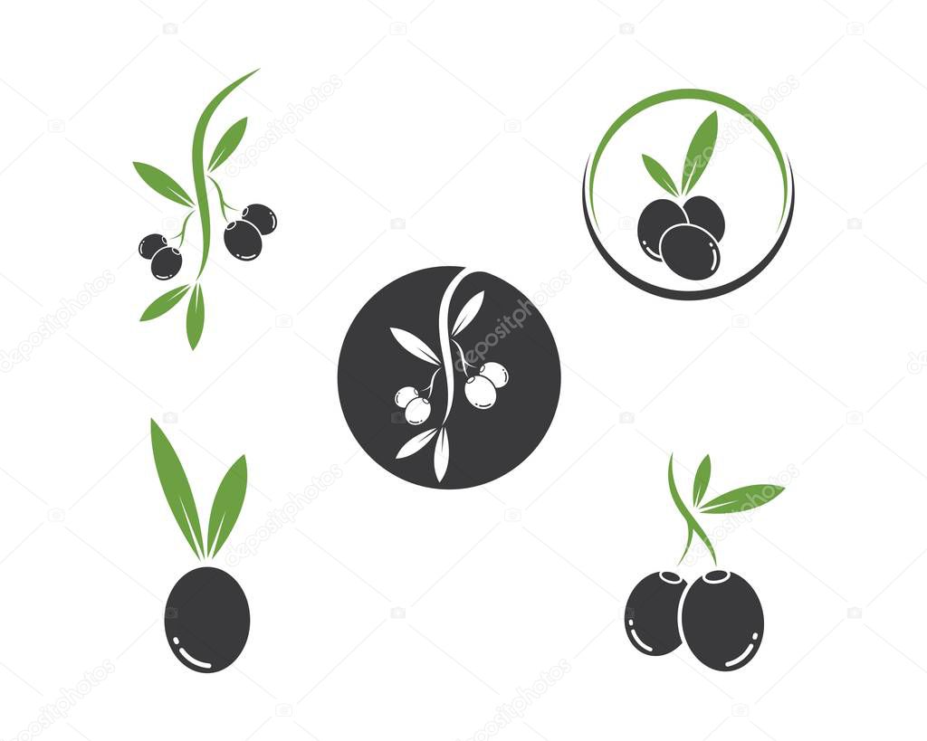 Olive logo icon vector illustration design