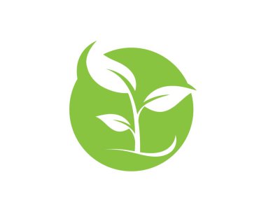 Yeşil yaprak ekoloji doğa eleman vektör logolar