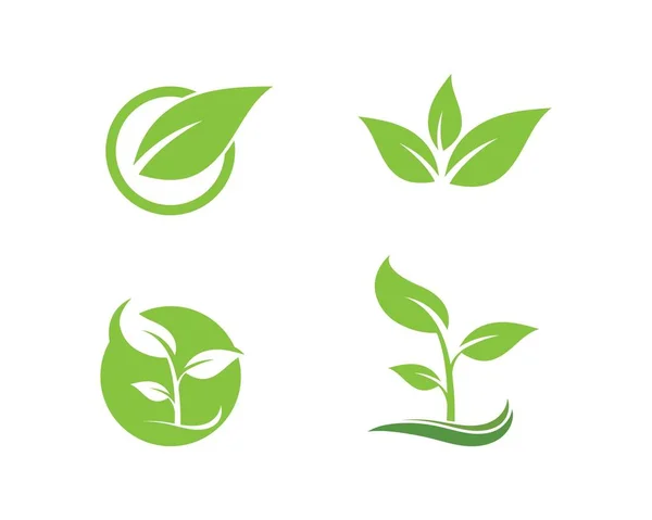 Logos di verde foglia ecologia elemento natura vettore — Vettoriale Stock