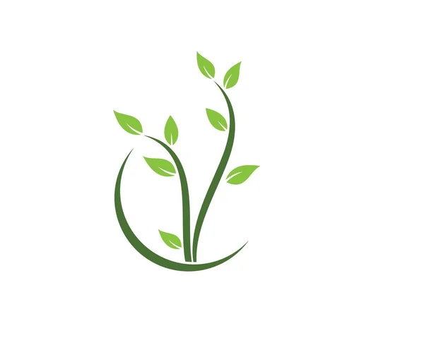 Pflanze Symbol Logo Vektor Illustration Design — Stockvektor