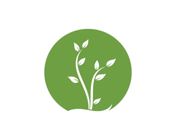 Planta ícone logotipo vetor ilustração design — Vetor de Stock