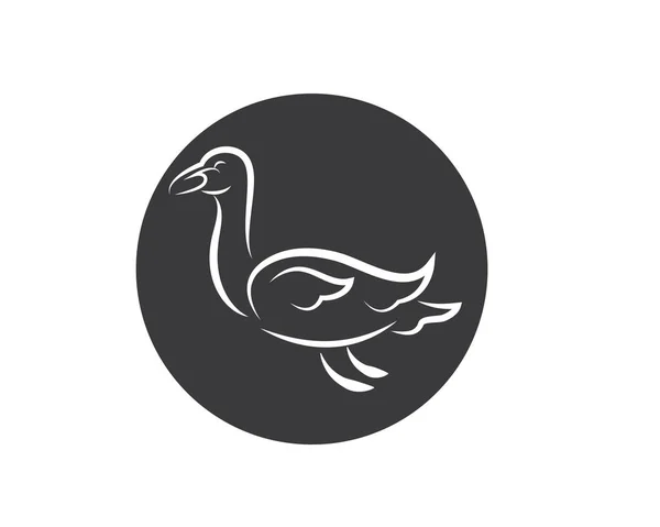 Logotipo del cisne Plantilla vector ilustración — Archivo Imágenes Vectoriales