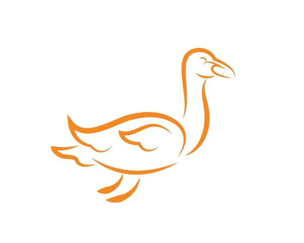 Zwaan logo sjabloon vector illustratie — Stockvector