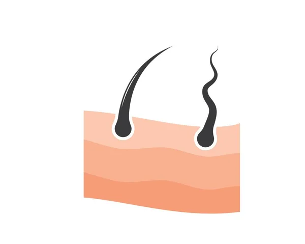 Desenho da ilustração do vetor do ícone da raiz do cabelo — Vetor de Stock