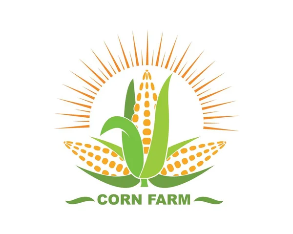 Corn vector icon illustration design — Stock Vector