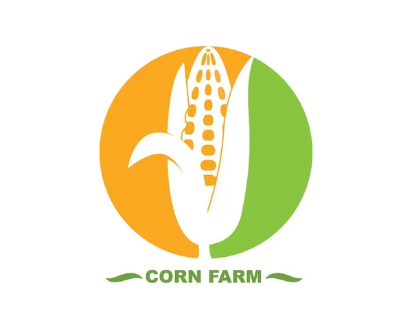 Corn vector icon illustration design — Stock Vector