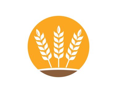 Tarım Buğdayı Logo Şablonu vektör simgesi
