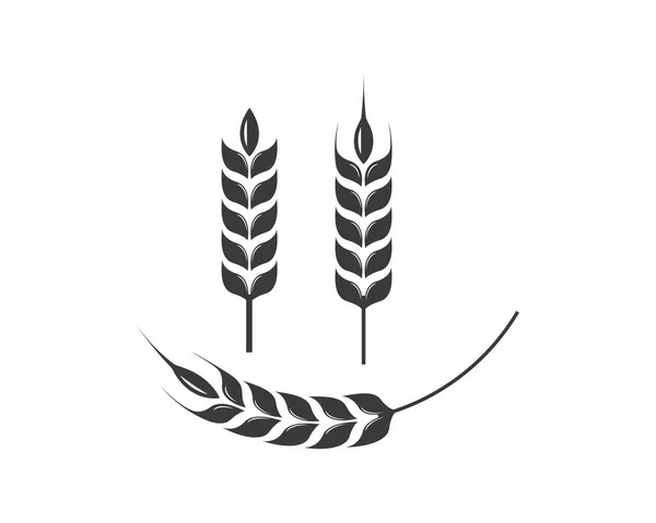 Agricultura trigo Logo Plantilla vector icono — Archivo Imágenes Vectoriales