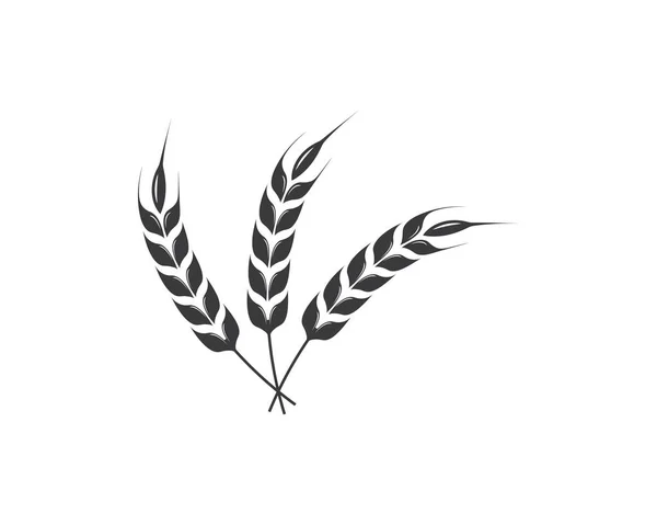 Jordbruk vete logotyp Mall vektor ikon — Stock vektor