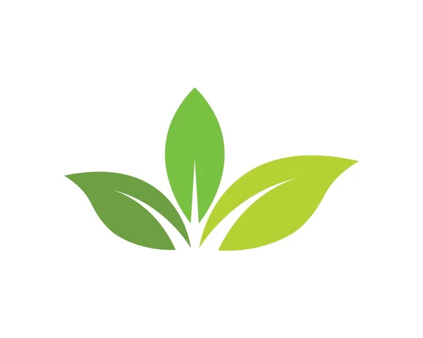 Logo zielony liść natura ekologia element wektora — Wektor stockowy