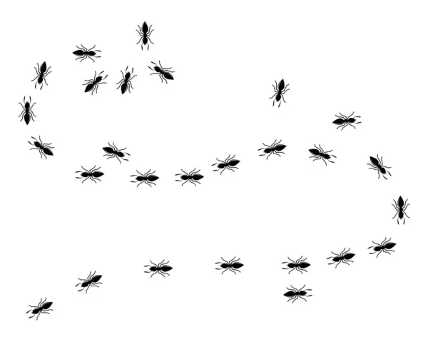Ant vector diseño de ilustración — Archivo Imágenes Vectoriales