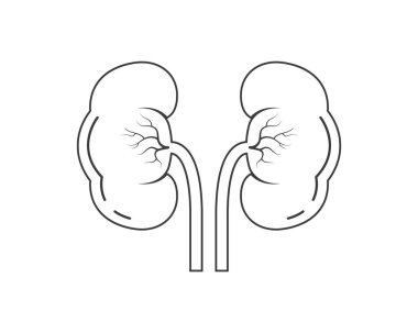 Böbrek simgesi vektör çizimi