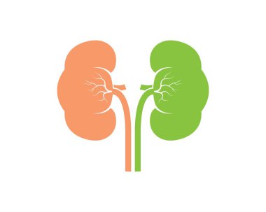 Böbrek simgesi vektör çizimi