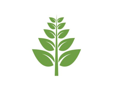 bitkisel yaprak tıbbı logo vektör illüstrasyon tasarımı