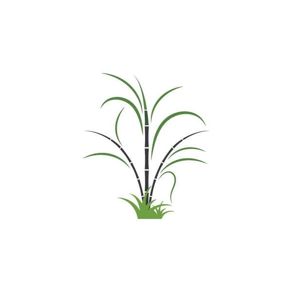 Дизайн Векторной Иконки Сахарного Тростника — стоковый вектор