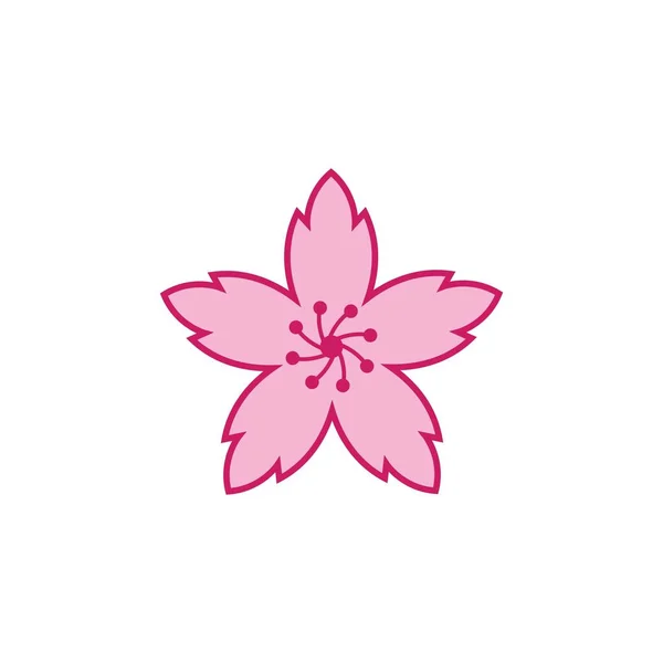 Sakura Blume Vektor Illustration Design Vorlage — Stockvektor