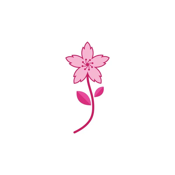 Sakura Blume Vektor Illustration Design Vorlage — Stockvektor