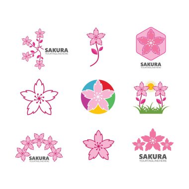 Sakura çiçek vektör çizim şablonu