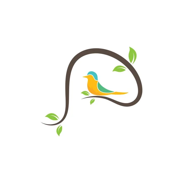 鳥のベクターイラストデザインテンプレート — ストックベクタ