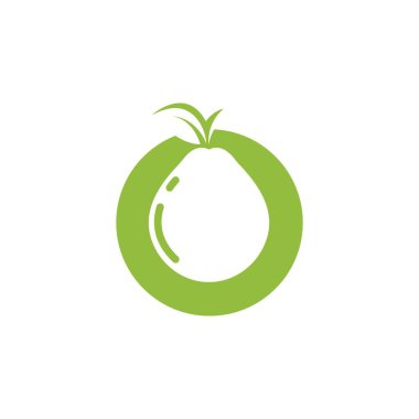 guava meyve vektörü resimleme şablonu