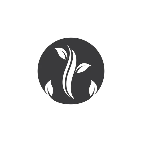 Vektor Ikony Vlnění Vlasů Ilustrační Design Symbol Účesu Salonu — Stockový vektor