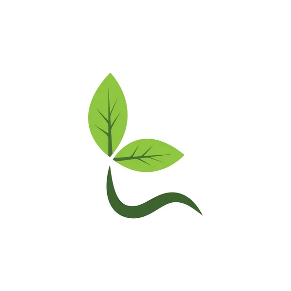 Grön Blad Ekologi Natur Element Vektor Ikon Grön Design — Stock vektor