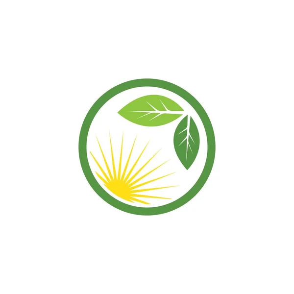 Green Leaf Ecology Nature Element Vector Icon Green Design — Stock Vector