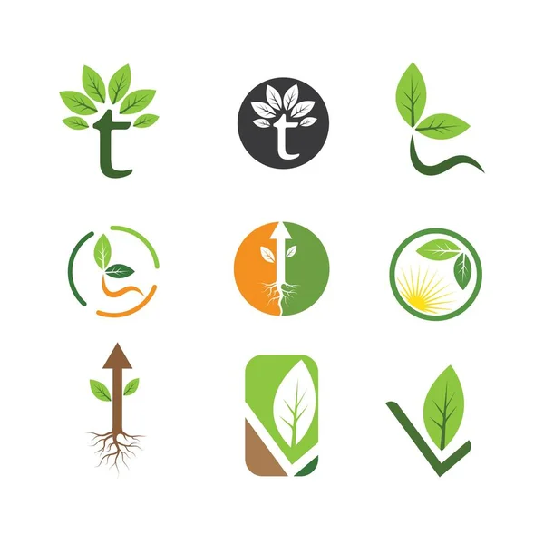 Zielony Liść Ekologia Natura Element Wektor Ikona Zielony Design — Wektor stockowy