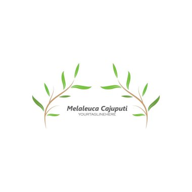 Melaleuca cajuputi yaprağı ikon vektör illüstrasyon tasarım şablonu