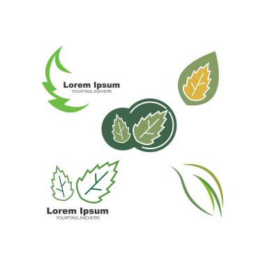 Yeşil yaprak ekolojisi yeşil tasarım doğa element vektör simgesi