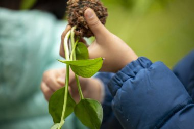 Tüm insanlar toplum faaliyetlerine katılmak, açık parklarda atık ve çevre dostu ağaçlar kullanın