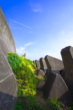 Tayvan'ın Yeni Taipei City, Keelung kuzey kıyısında, kıyı dalgakıran ve güzel çiçek izi dalga engelleme blok