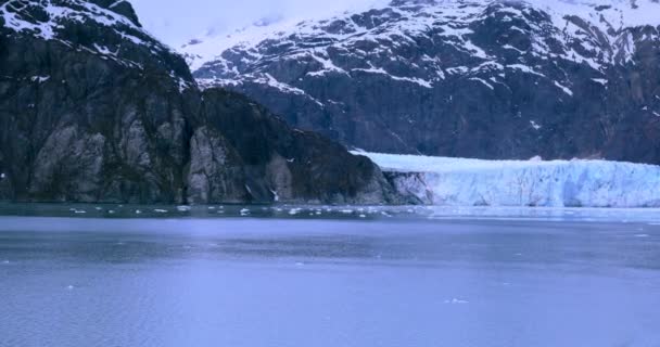 Glacier Bay Ulusal Parkı Alaska Abd Dünyanın Doğal Mirası Küresel — Stok video