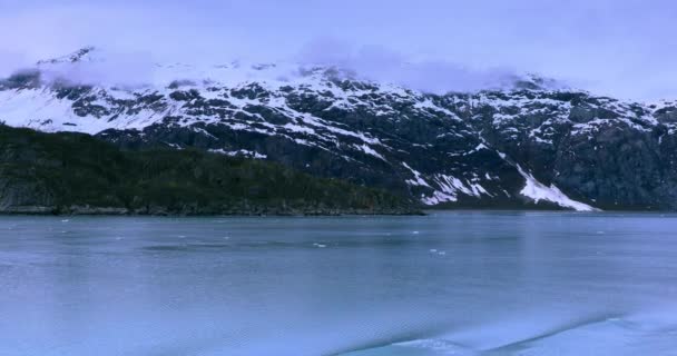 Glacier Bay Ulusal Parkı Alaska Abd Dünyanın Doğal Mirası Küresel — Stok video