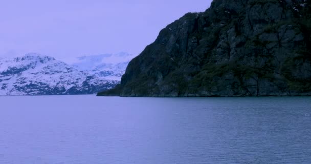 Park Narodowy Glacier Bay Alaska Usa Naturalne Dziedzictwo Świata Globalne — Wideo stockowe