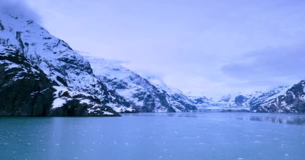 Glacier Bay National Park Alaska Usa Patrimonio Natural Del Mundo — Vídeo de stock