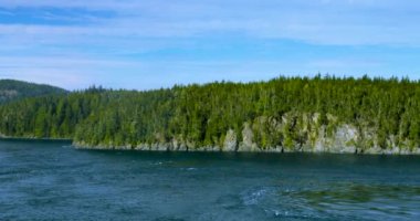 Cruise Vancouver, Alaska Denizi, ABD, öğleden sonra güneşinde güzel defne sahne