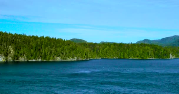 Cruise Naar Vancouver Alaska Zee Verenigde Staten Prachtige Baai Landschap — Stockvideo