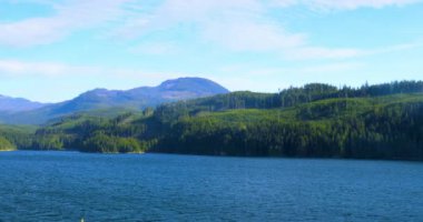 Cruise Vancouver, Alaska Denizi, ABD, öğleden sonra güneşinde güzel defne sahne