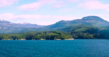 Cruise Vancouver, Alaska Denizi, ABD, öğleden sonra güneşinde güzel defne sahne