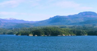 Cruise Vancouver, Alaska Denizi, ABD, öğleden sonra güneşinde güzel defne sahne