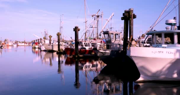 Vancouver Kanada Richmondtown Fisherman Wharf Berömd Turistattraktion — Stockvideo