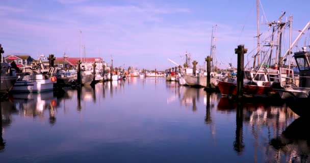 Vancouver Canada Richmondtown Fisherman Wharf Est Une Attraction Touristique Célèbre — Video