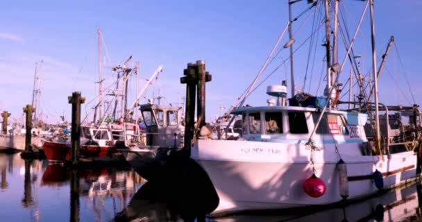 Vancouver Canada Richmondtown Fisherman Wharf Een Beroemde Toeristische Attractie — Stockvideo