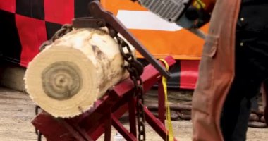 2019 05 06 Yolcu gemisi, abd'nin Alaska şehrinin Ketcheg şehrine demirledi.